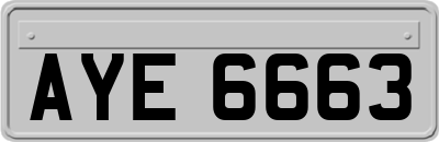AYE6663