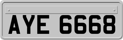 AYE6668