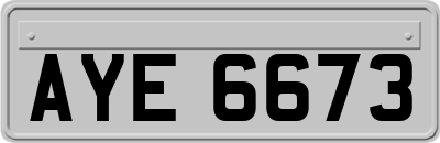 AYE6673