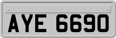 AYE6690