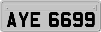 AYE6699