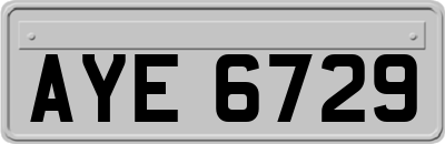 AYE6729