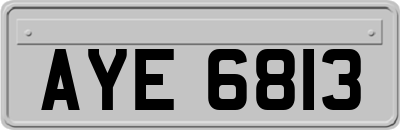 AYE6813
