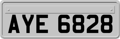AYE6828