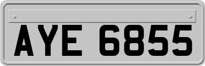 AYE6855