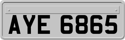 AYE6865