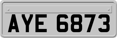 AYE6873