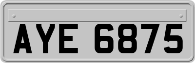 AYE6875