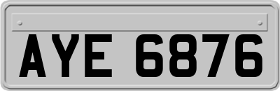 AYE6876