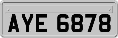 AYE6878