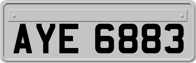 AYE6883