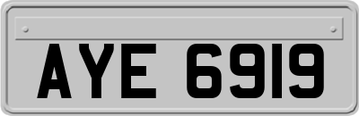AYE6919