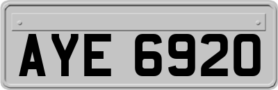 AYE6920