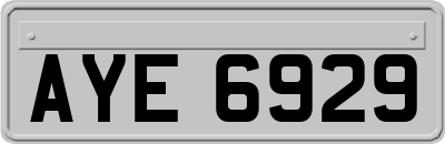 AYE6929