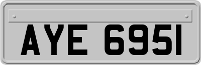 AYE6951