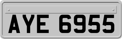 AYE6955