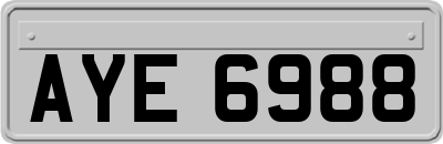 AYE6988