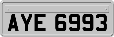 AYE6993