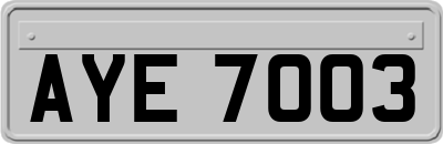 AYE7003