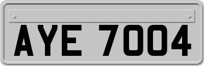 AYE7004