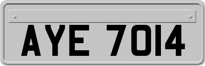 AYE7014