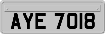 AYE7018