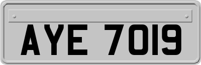 AYE7019