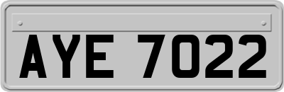AYE7022