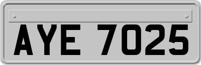 AYE7025