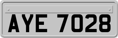 AYE7028