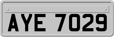 AYE7029