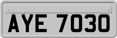 AYE7030