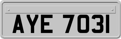 AYE7031