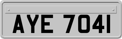 AYE7041