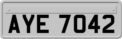 AYE7042