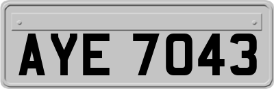 AYE7043