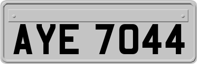 AYE7044