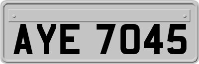 AYE7045