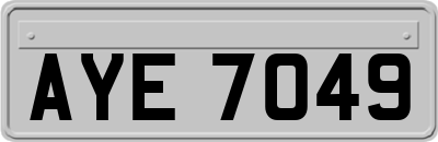 AYE7049