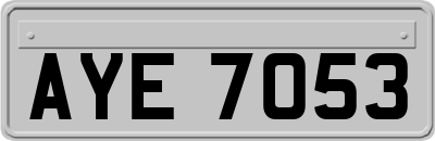 AYE7053