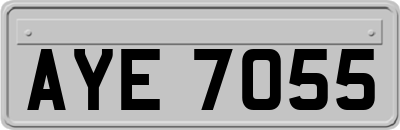 AYE7055