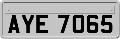 AYE7065
