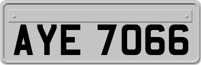 AYE7066