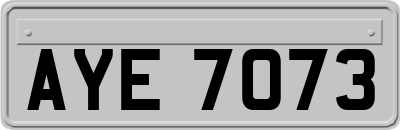 AYE7073