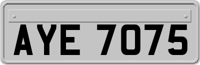 AYE7075