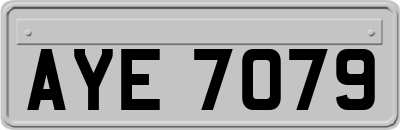 AYE7079