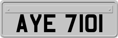 AYE7101