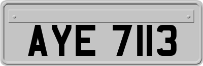 AYE7113