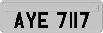AYE7117