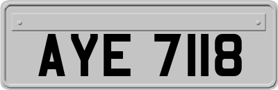 AYE7118